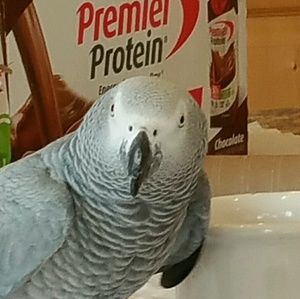 Meet your Posher, Debbi